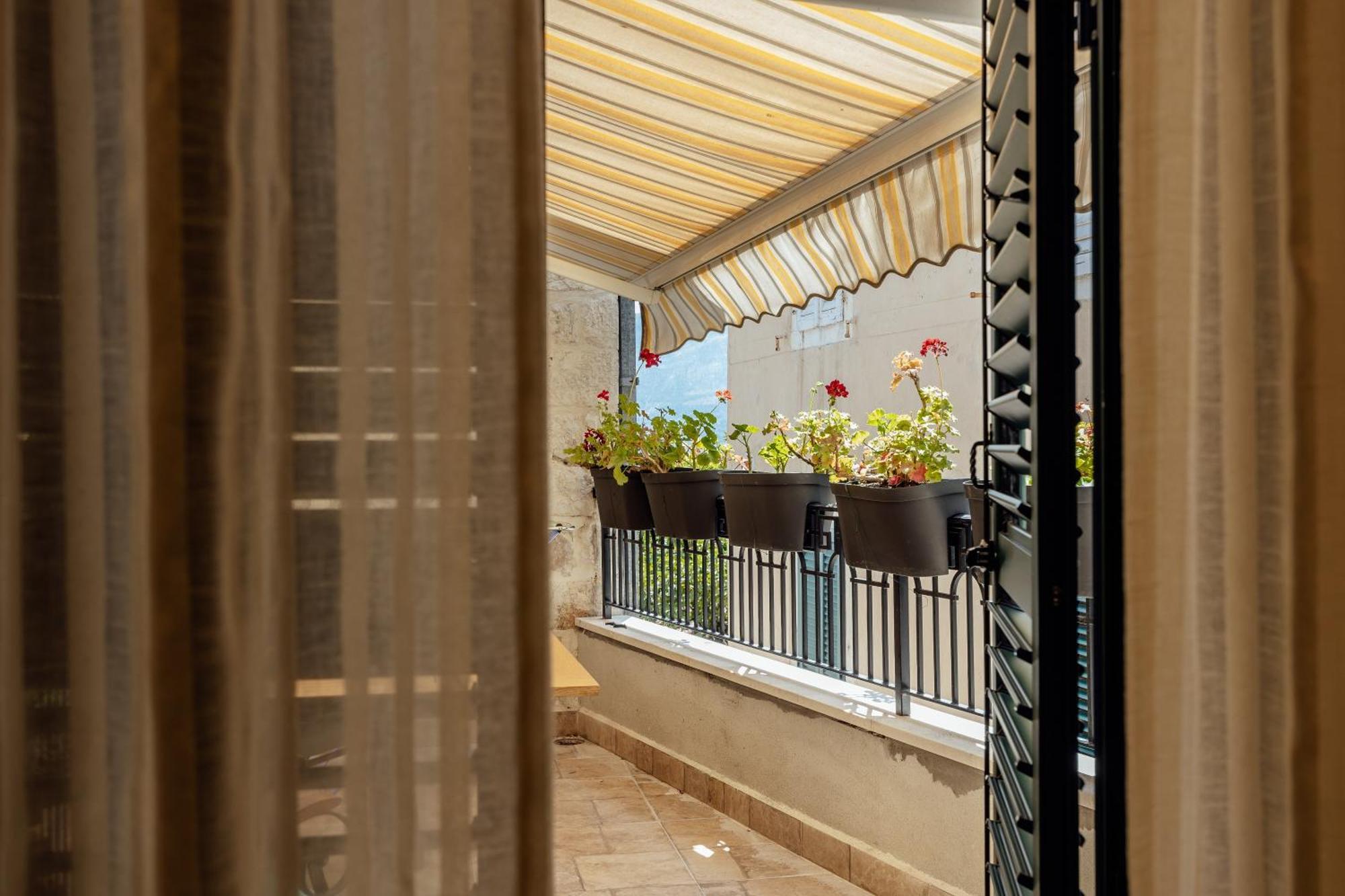 Guesthouse Villa Stari Grad Herceg Novi Exterior photo